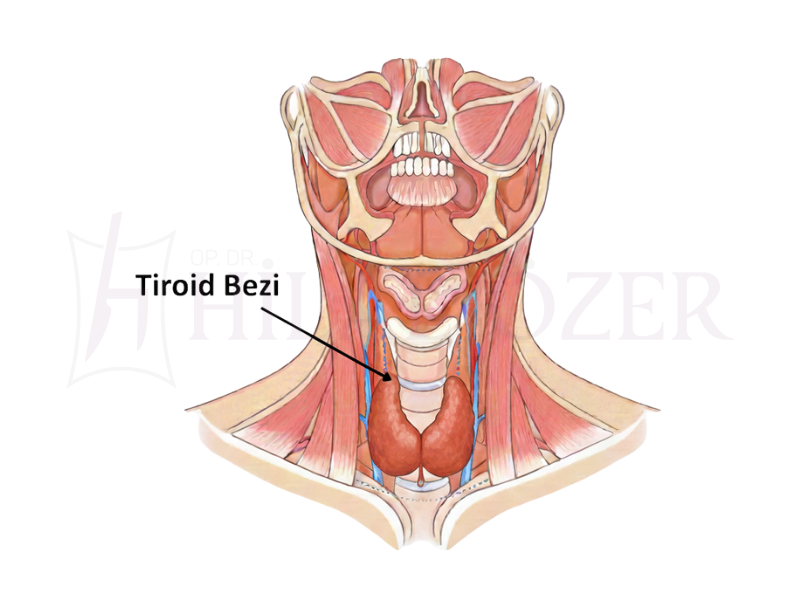 Tiroid ve Guatr Cerrahisi